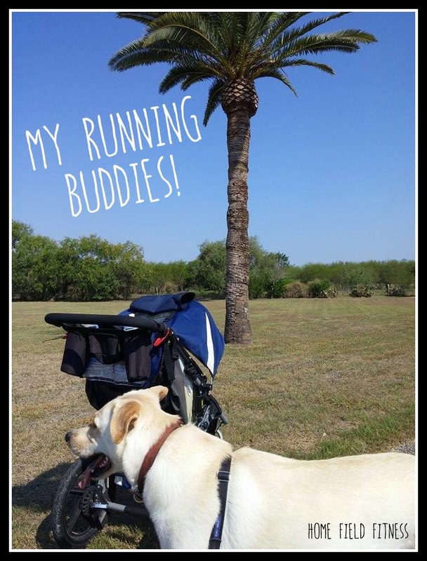 My running buddies! BOB Revolution Stroller and of course Miss Oakley!