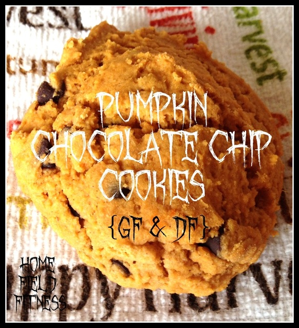 Pumpkin Chocolate Chip Cookies {gluten free & dairy free} - these are so good you will want to make them all year round! via www.homefieldfitness.org